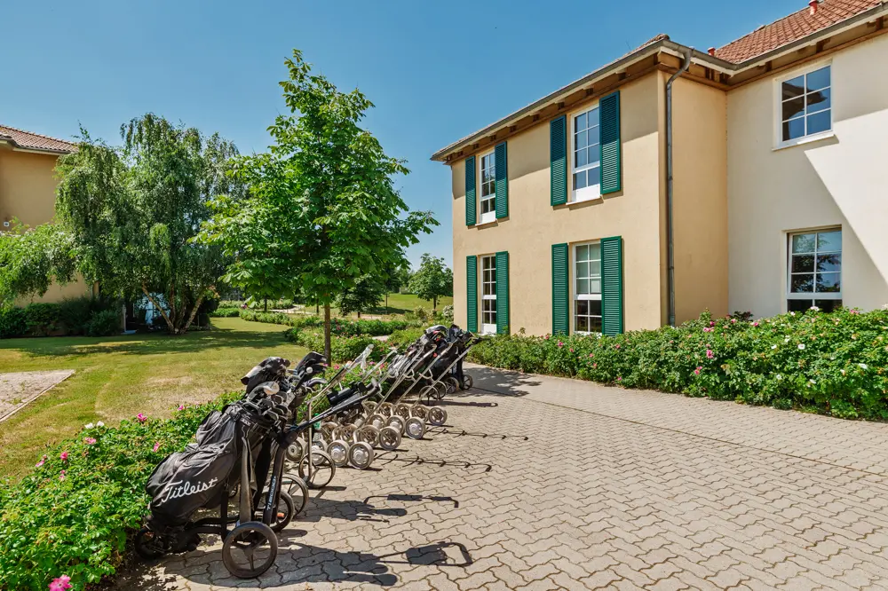 Auf zum Golf