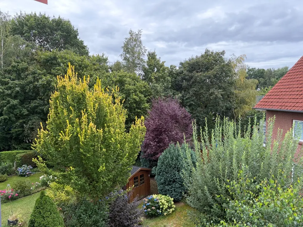 Ausblick vom Balkon